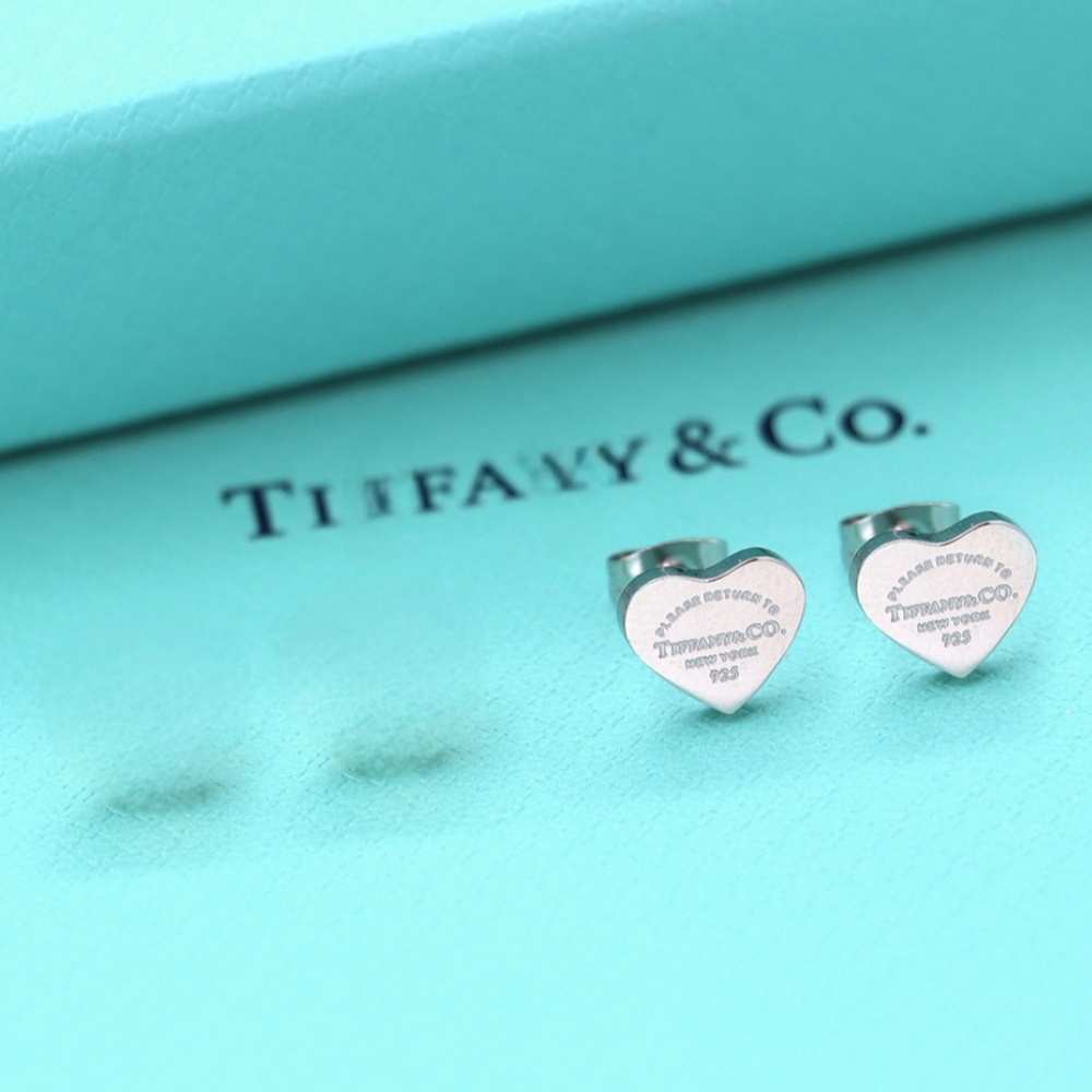 Fashion Earrings